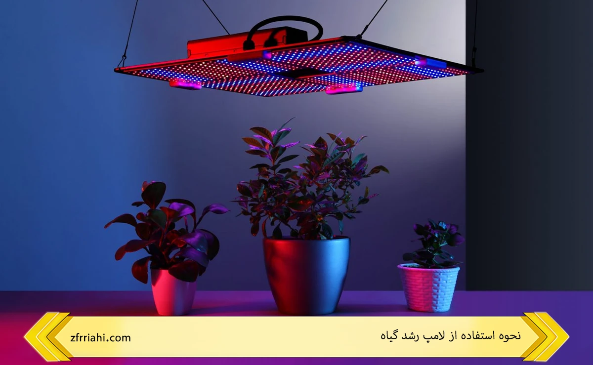 نحوه استفاده از لامپ رشد گیاه